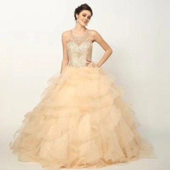 NEW Scoop Neck Sequined Ballgown Shape Dress JT1423 - Picture 1 of 3